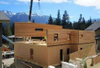Low Modulus MS Polymer Sealant for Building