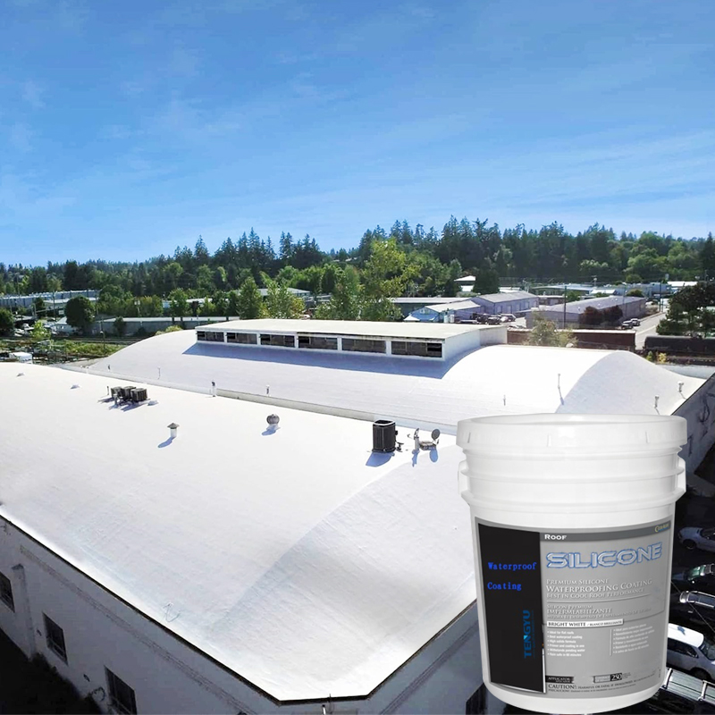 Silicone Sealant for Roof Waterproofing: A Long-Lasting Solution for Leak Protection