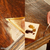Paintable And Sanded Wood Filler Putty for Wood Repairing